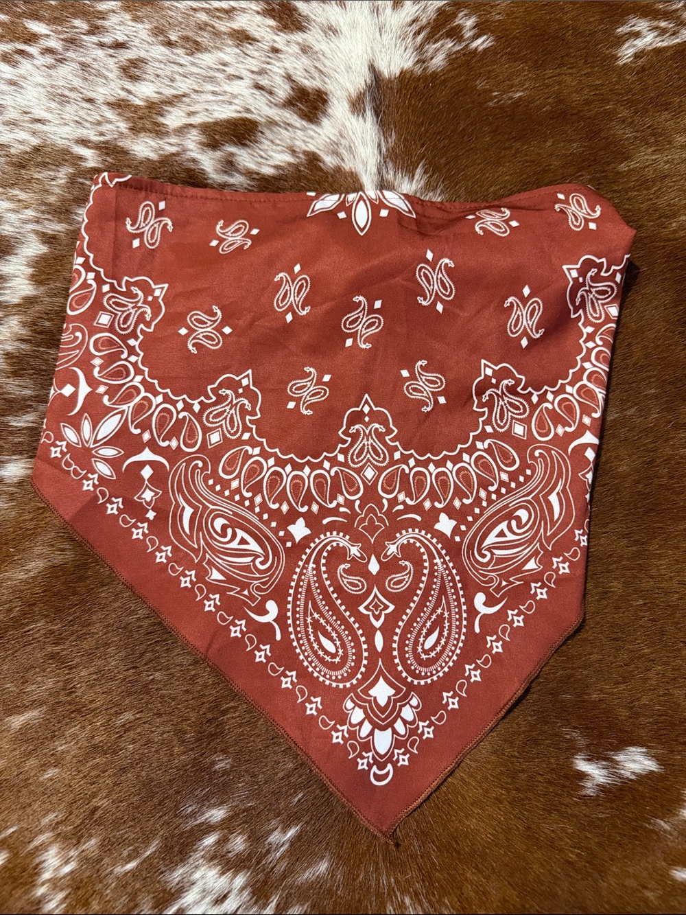 Rust Red Paisley Bandana Crop Top